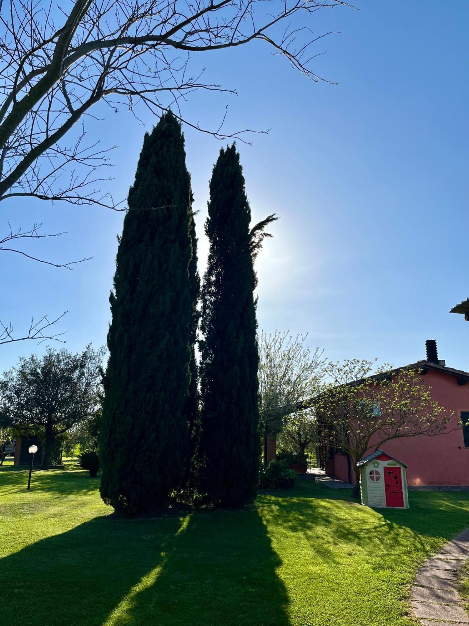 Agriturismo Valdo Grosseto Exteriör bild