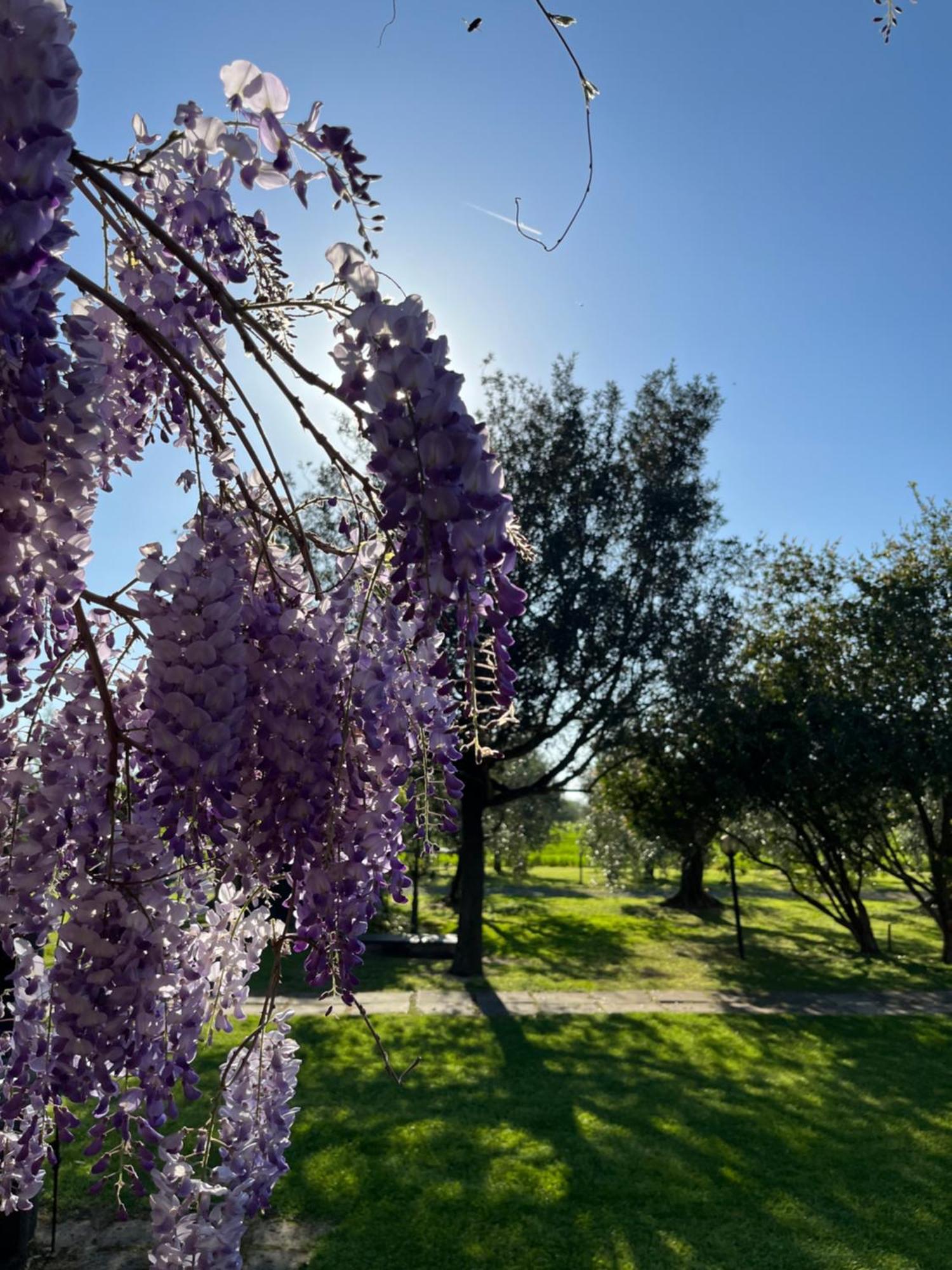 Agriturismo Valdo Grosseto Exteriör bild