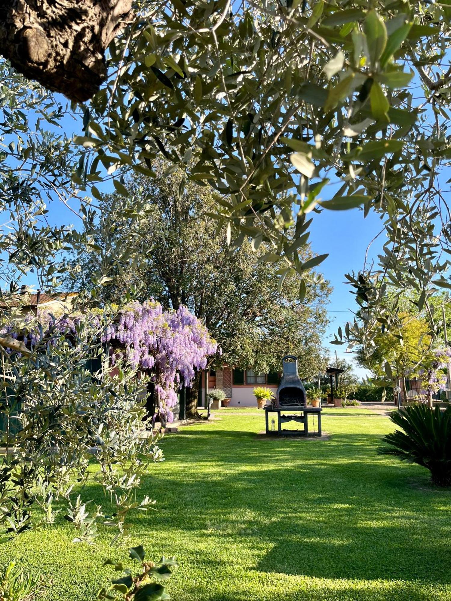 Agriturismo Valdo Grosseto Exteriör bild